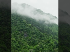 نظام الطائرات بدون طيار DJI FC30 FlyCart 30 المصنوع من MYUAV